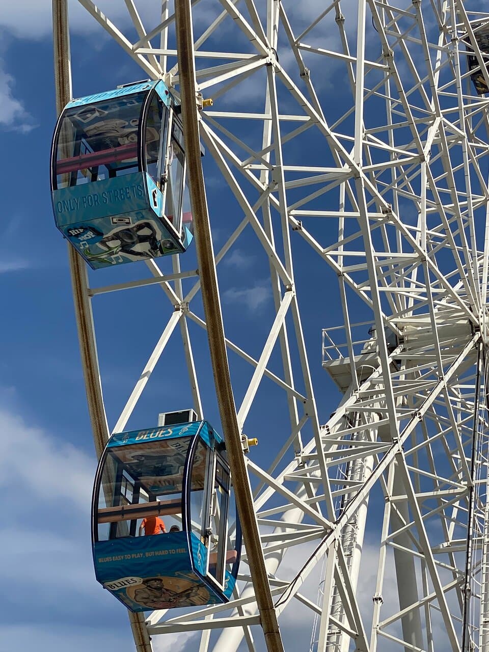 Ferris Wheel Lakreevsky Park