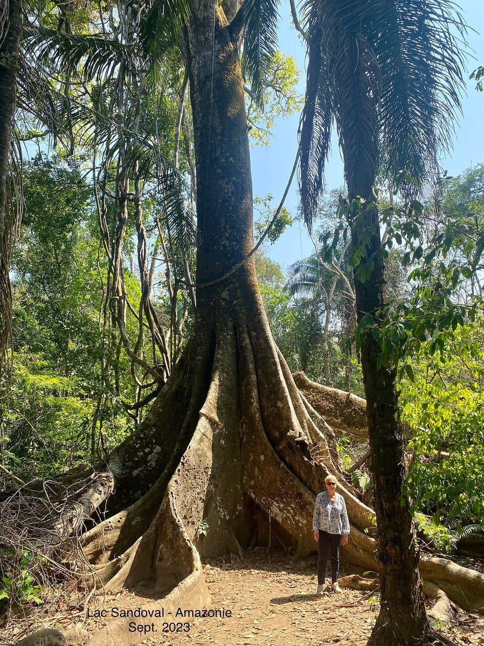 Tambopata National Reserve Peru