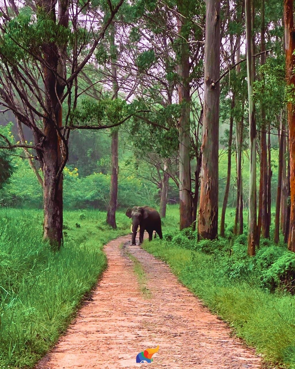 Tholpetty Wildlife Sanctuary Wayanad