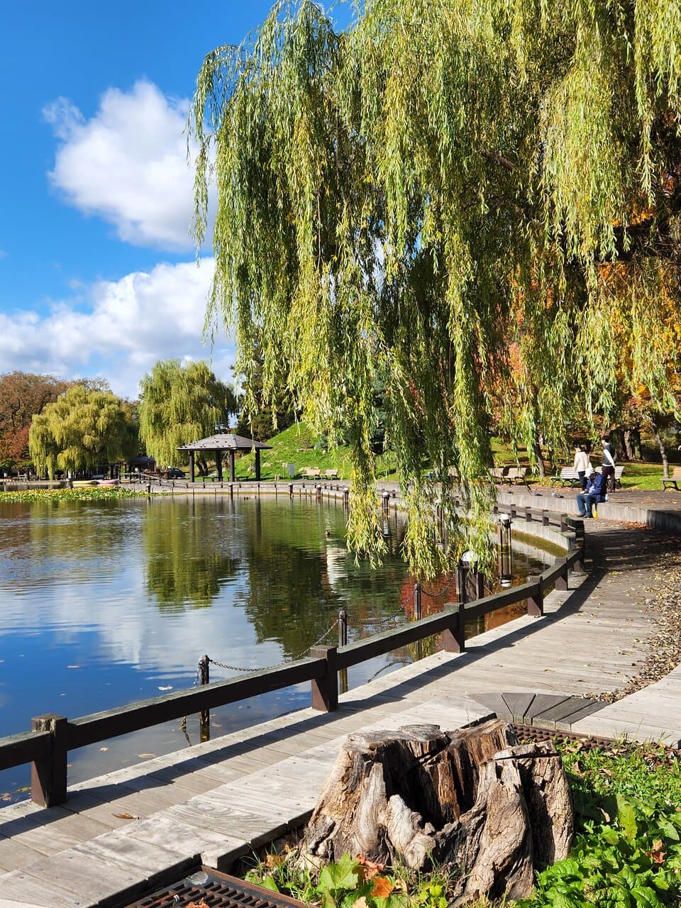 Tokiwa Park Asahikawa
