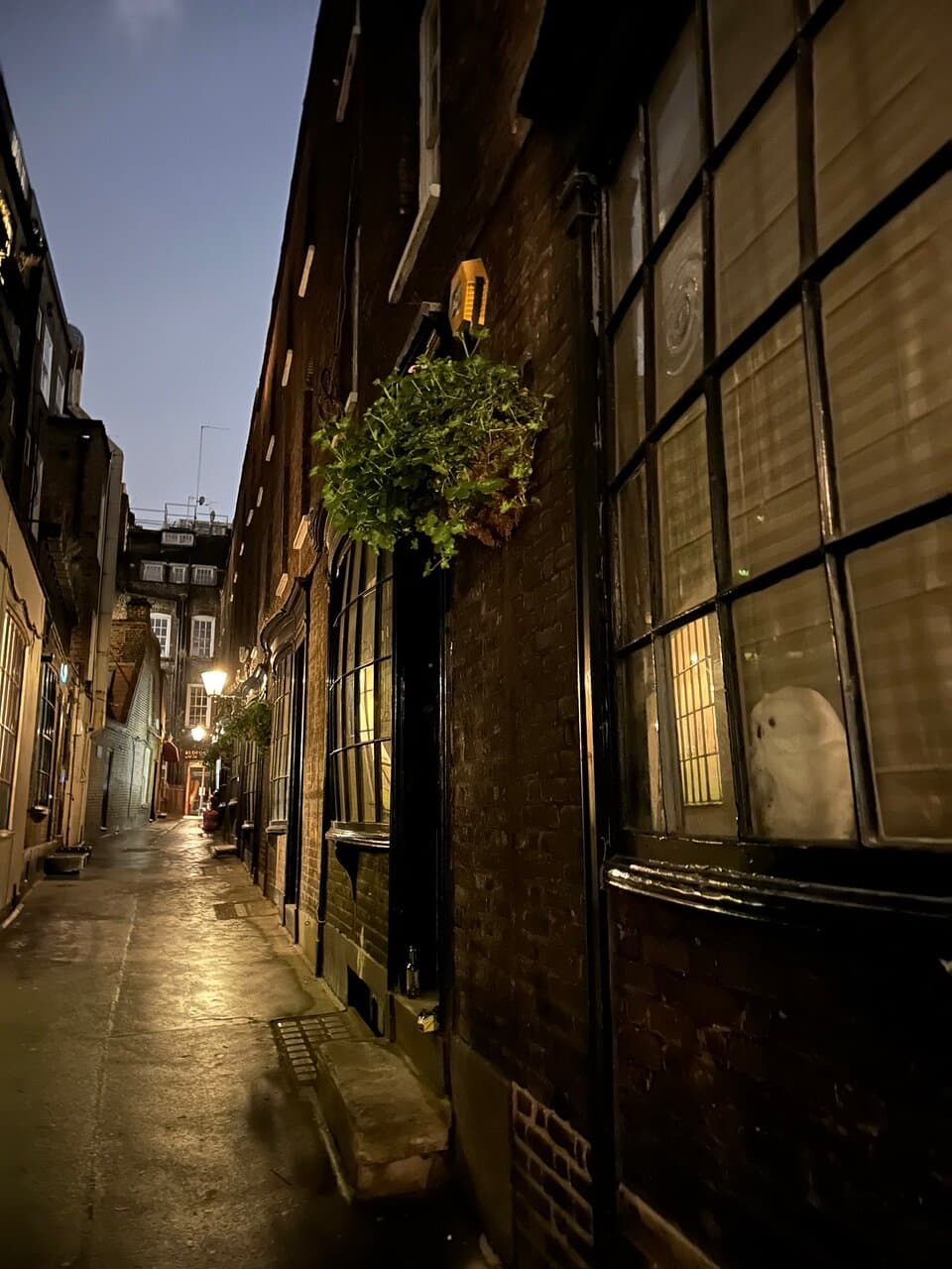 Goodwin's Court