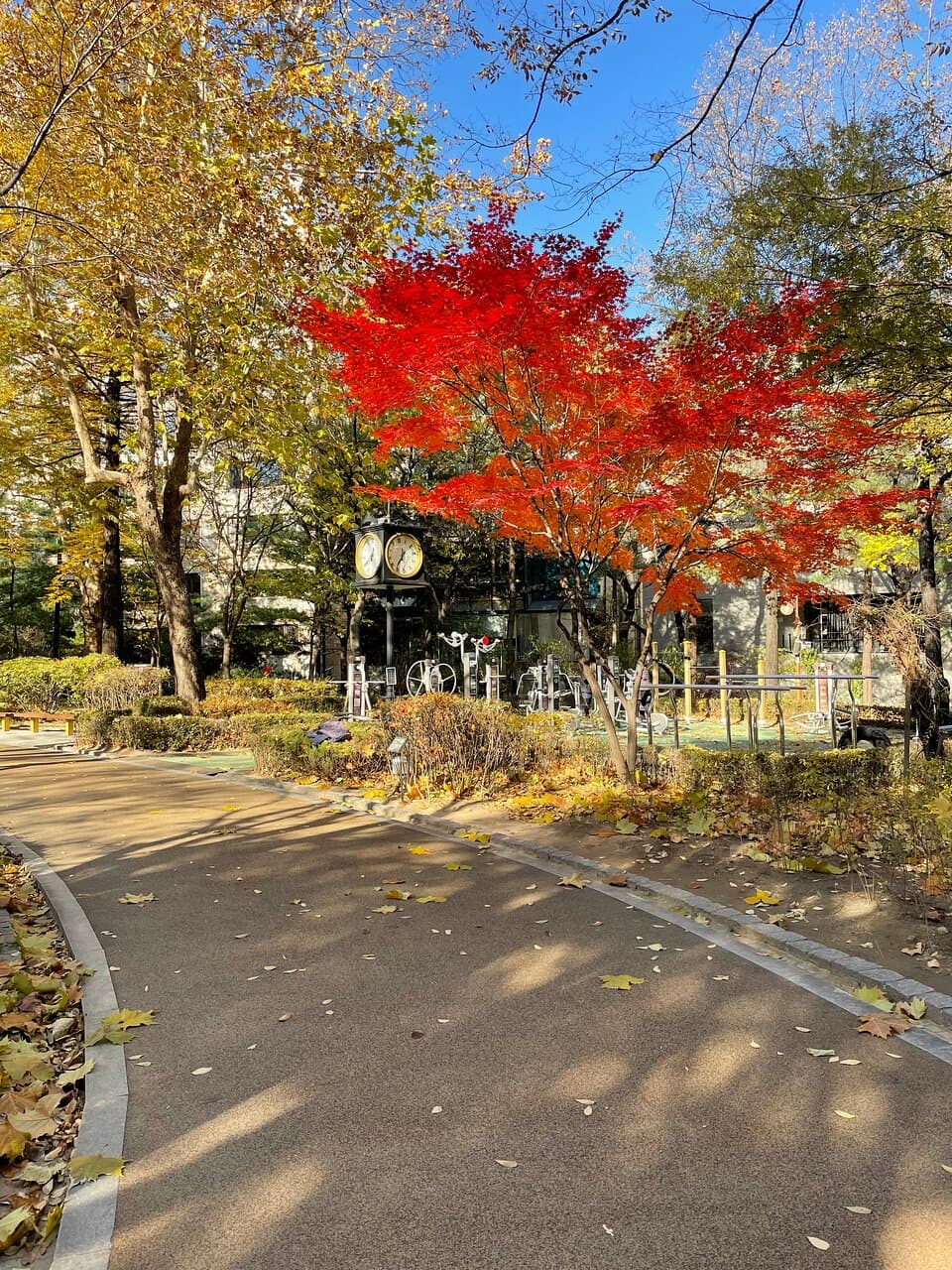 Dosan Park Seoul
