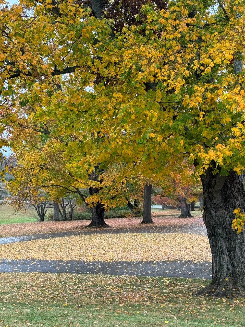 Battlefield Park on October 27, 2023