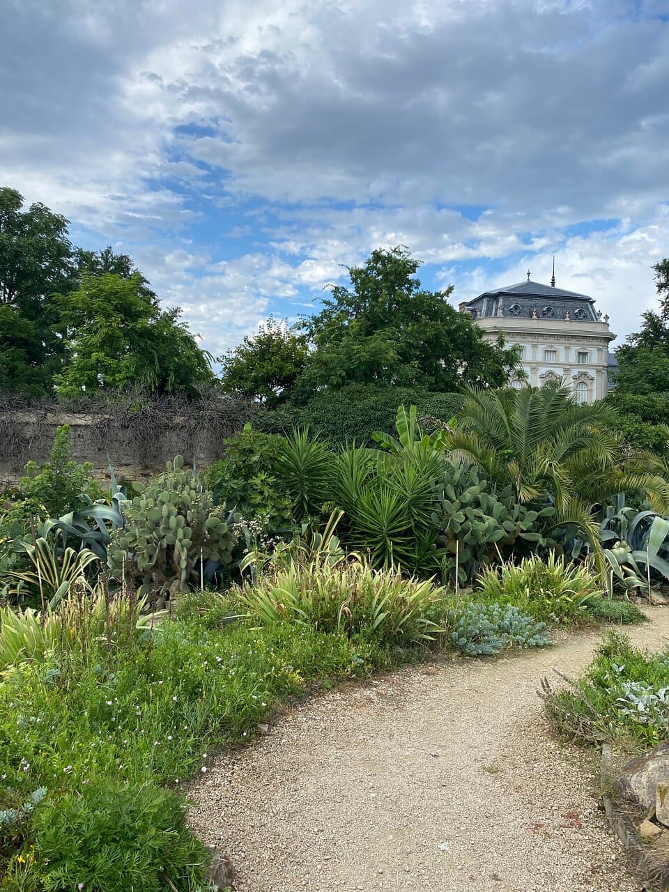 Walking through the park...