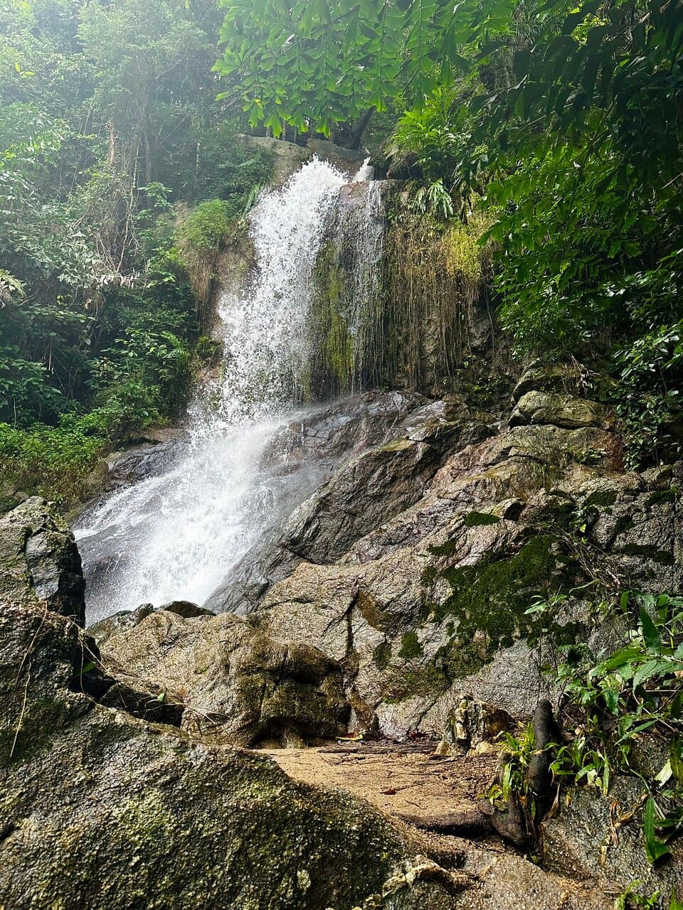 Koh Tan Thailand