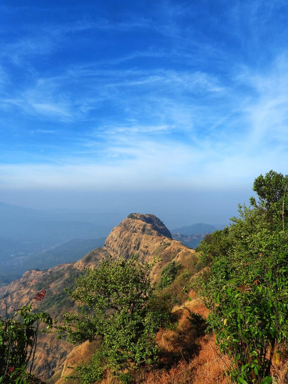 Jangali jaygad Trekk