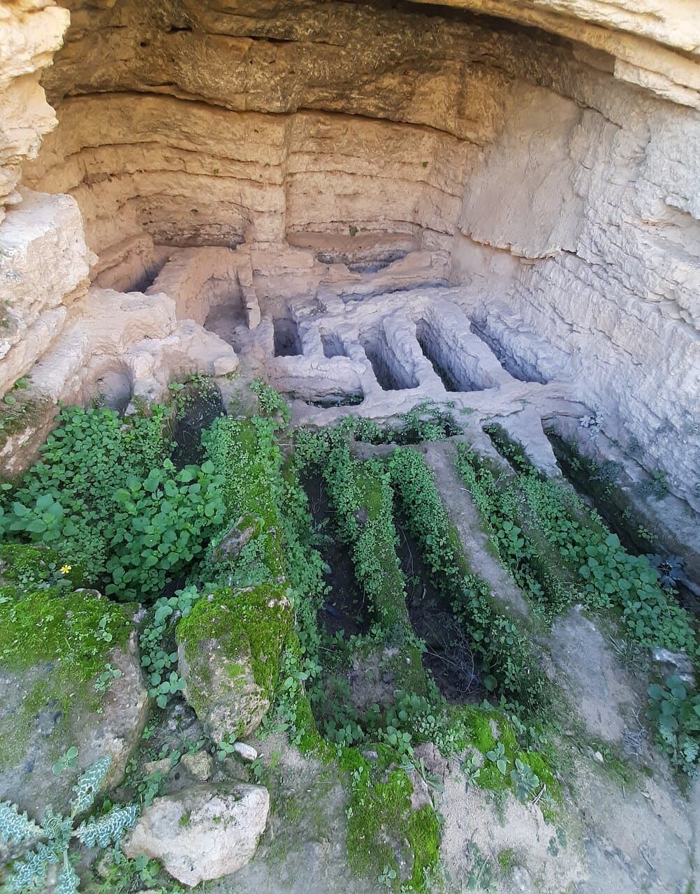 Tumbas de la necropolis a los pies del camino