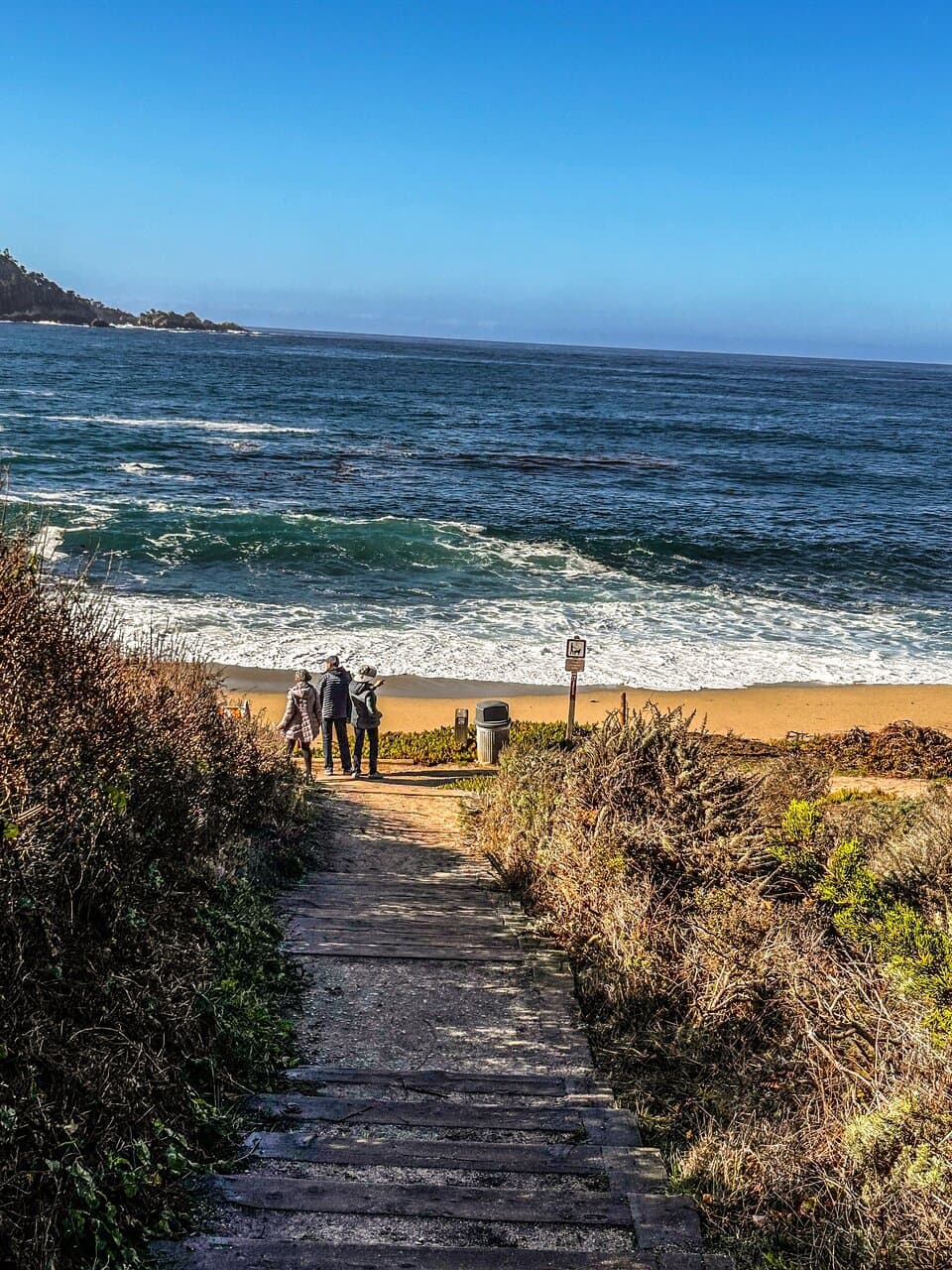 Some images from our travel