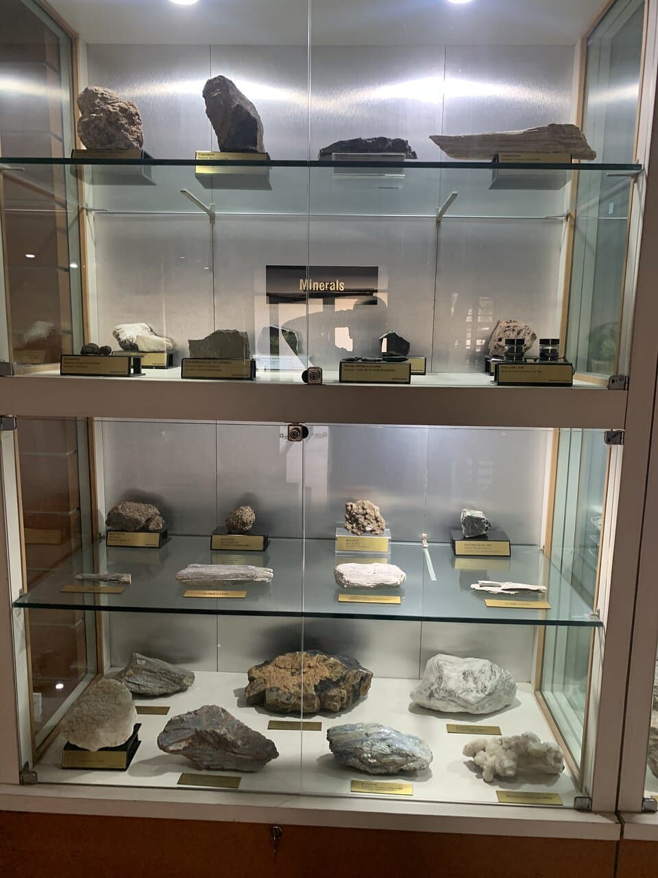 Wadia Institute of Himalayan Geology Museum