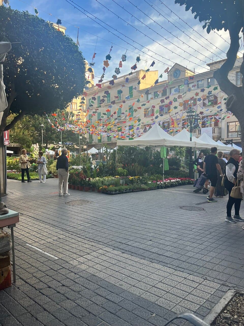 Inca Town & Market