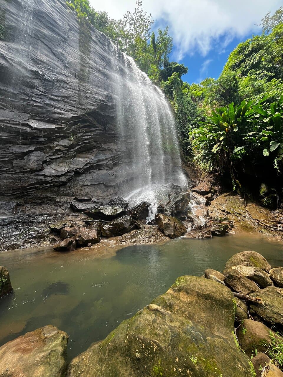 Royal Mount Carmel Waterfalls