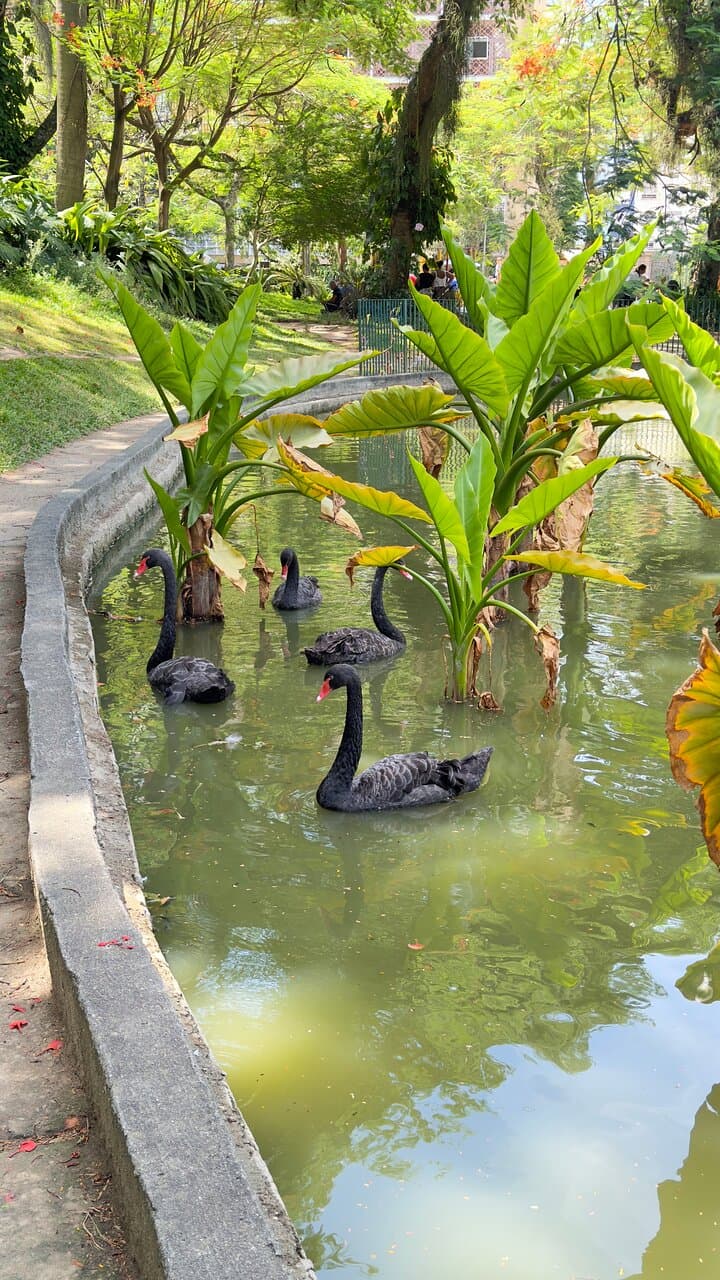 Parque Guinle Rio de Janeiro