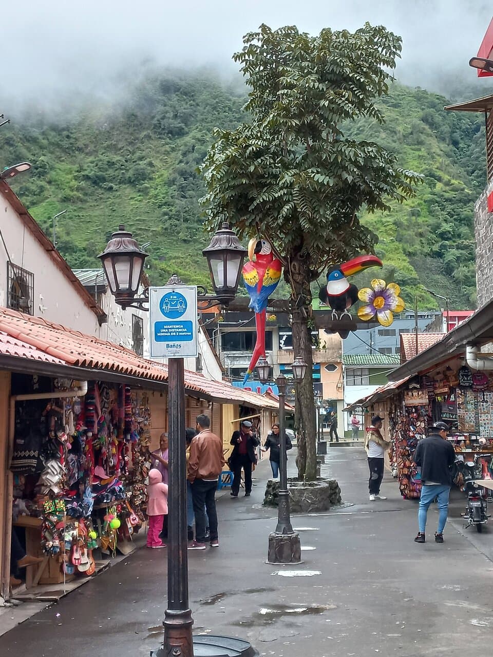 Central Market Baños