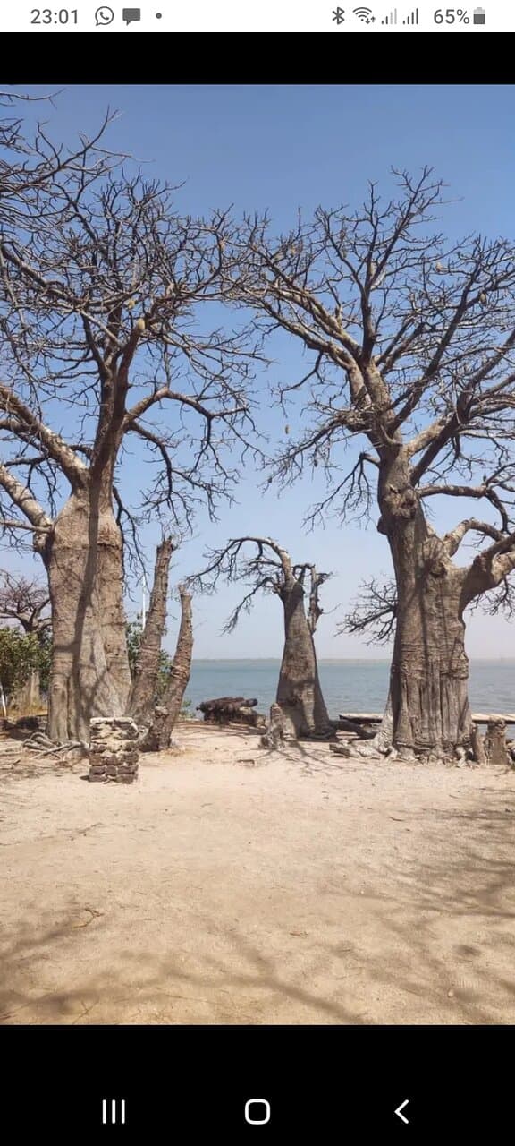 Kunta Kinteh Island