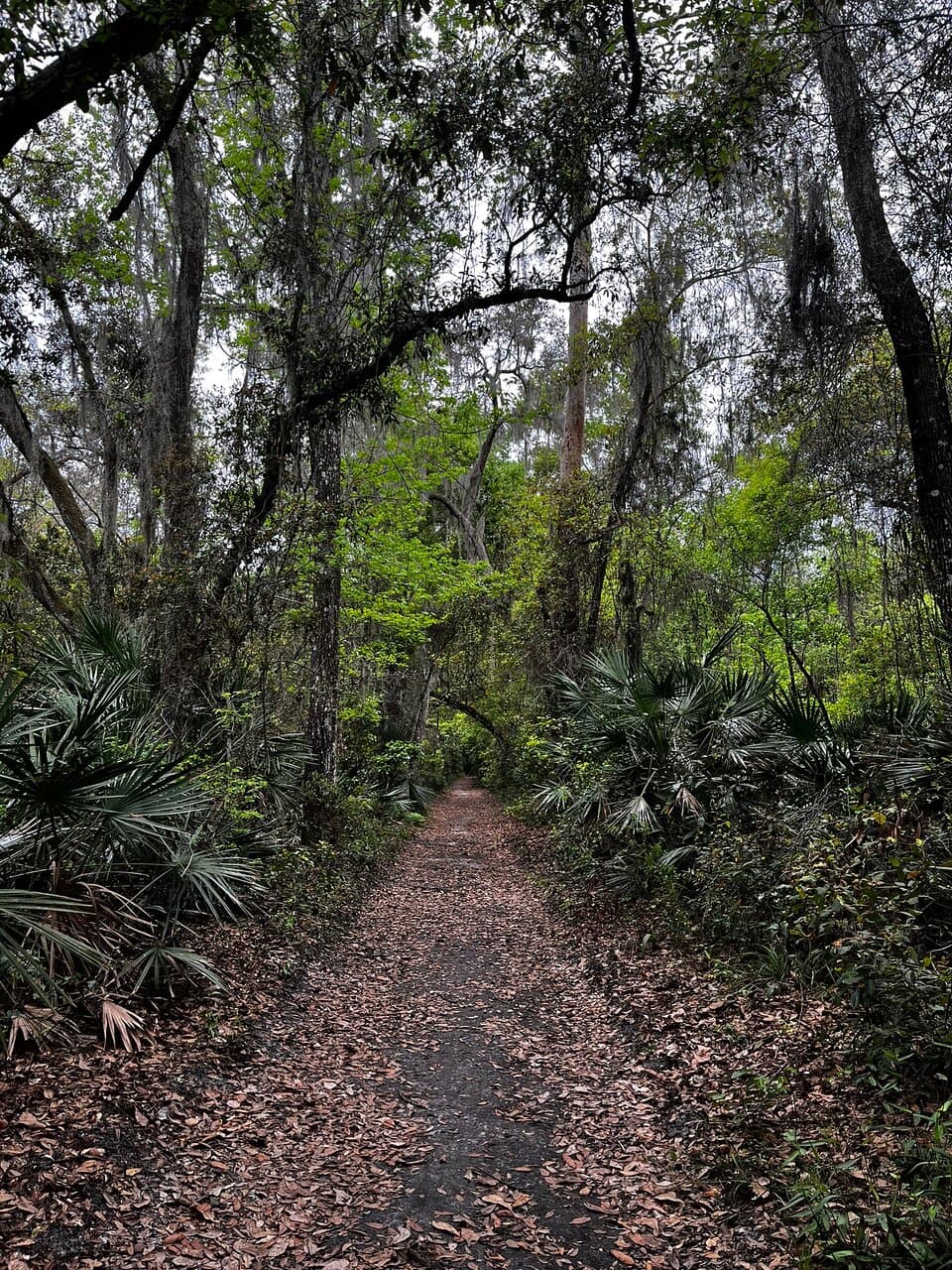 Blue Lake Park