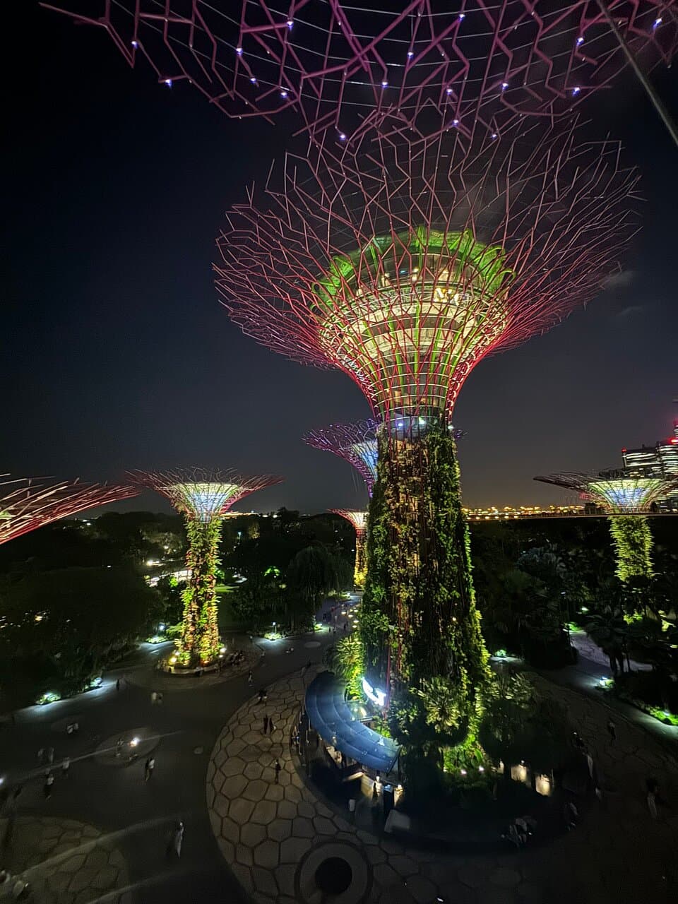 OCBC Skyway Gardens by the Bay Singapore