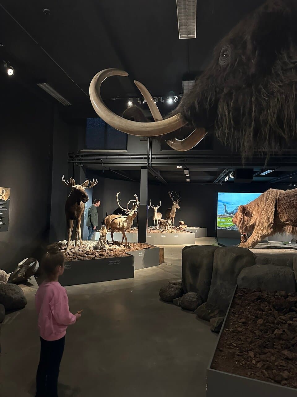 Natuurmuseum Brabant