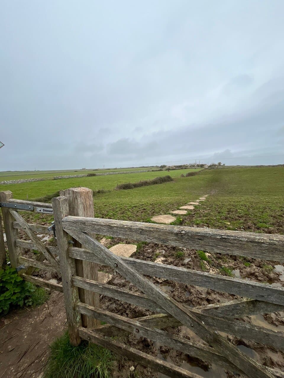 Keates Quarry Dinosaur Footprints