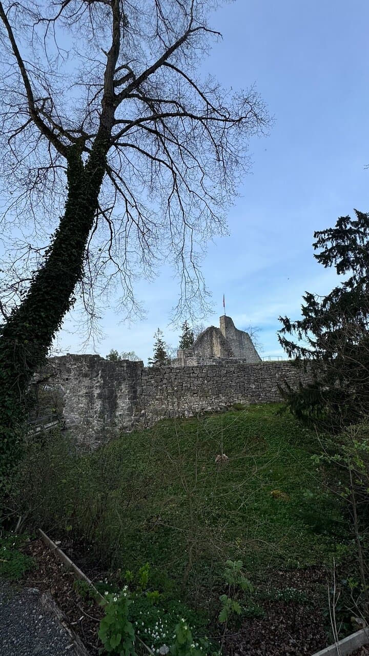 Obere Burg