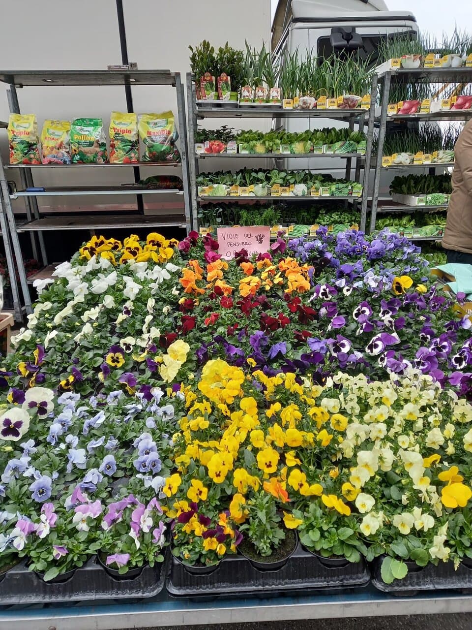 Desenzano del Garda Weekly Market