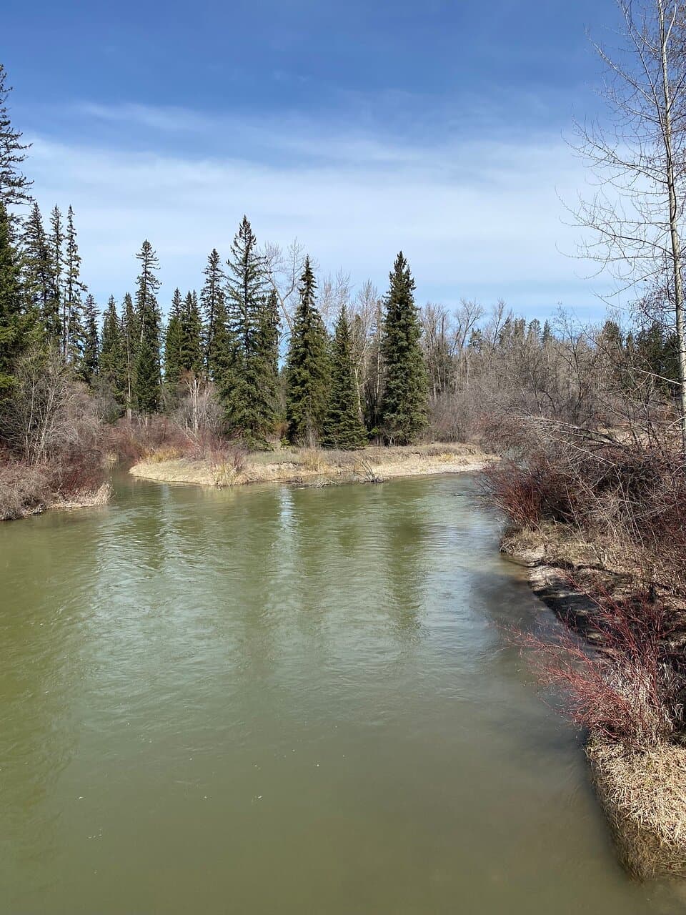 Hiking along the Stillwater River in Lawrence Park on a perfect Montana April afternoon!