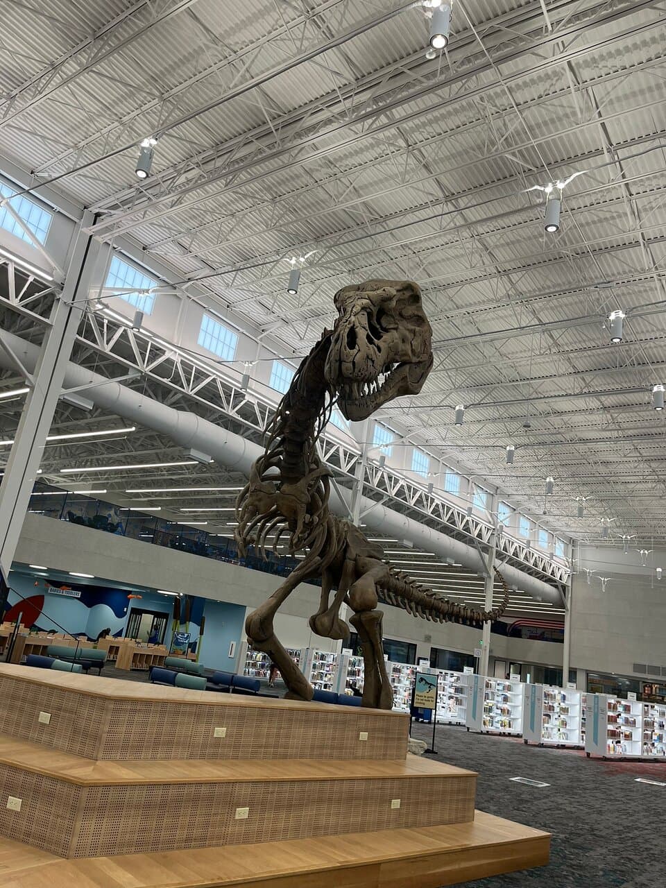 Frisco Public Library