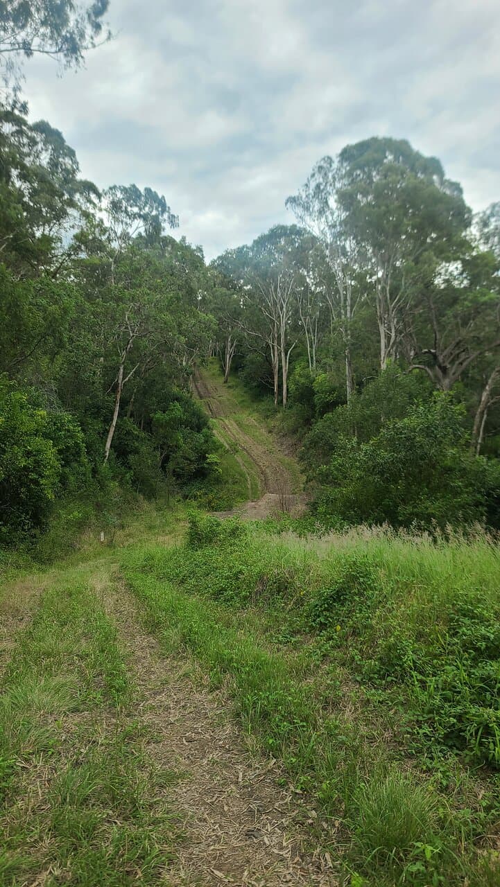 Redwood Park