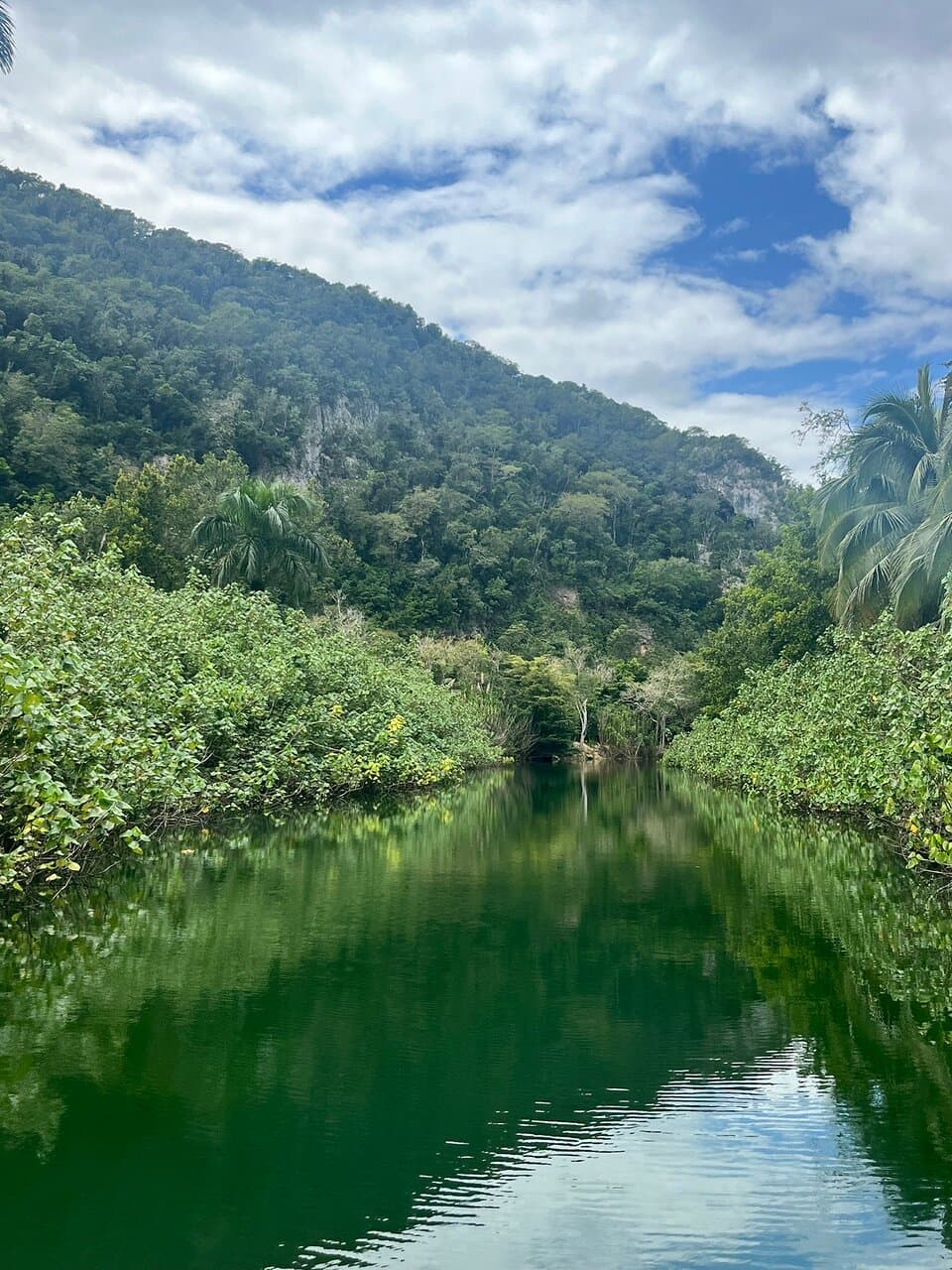 Guajataca State Forest