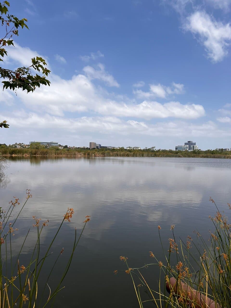 San Joaquin Wildlife Sanctuary