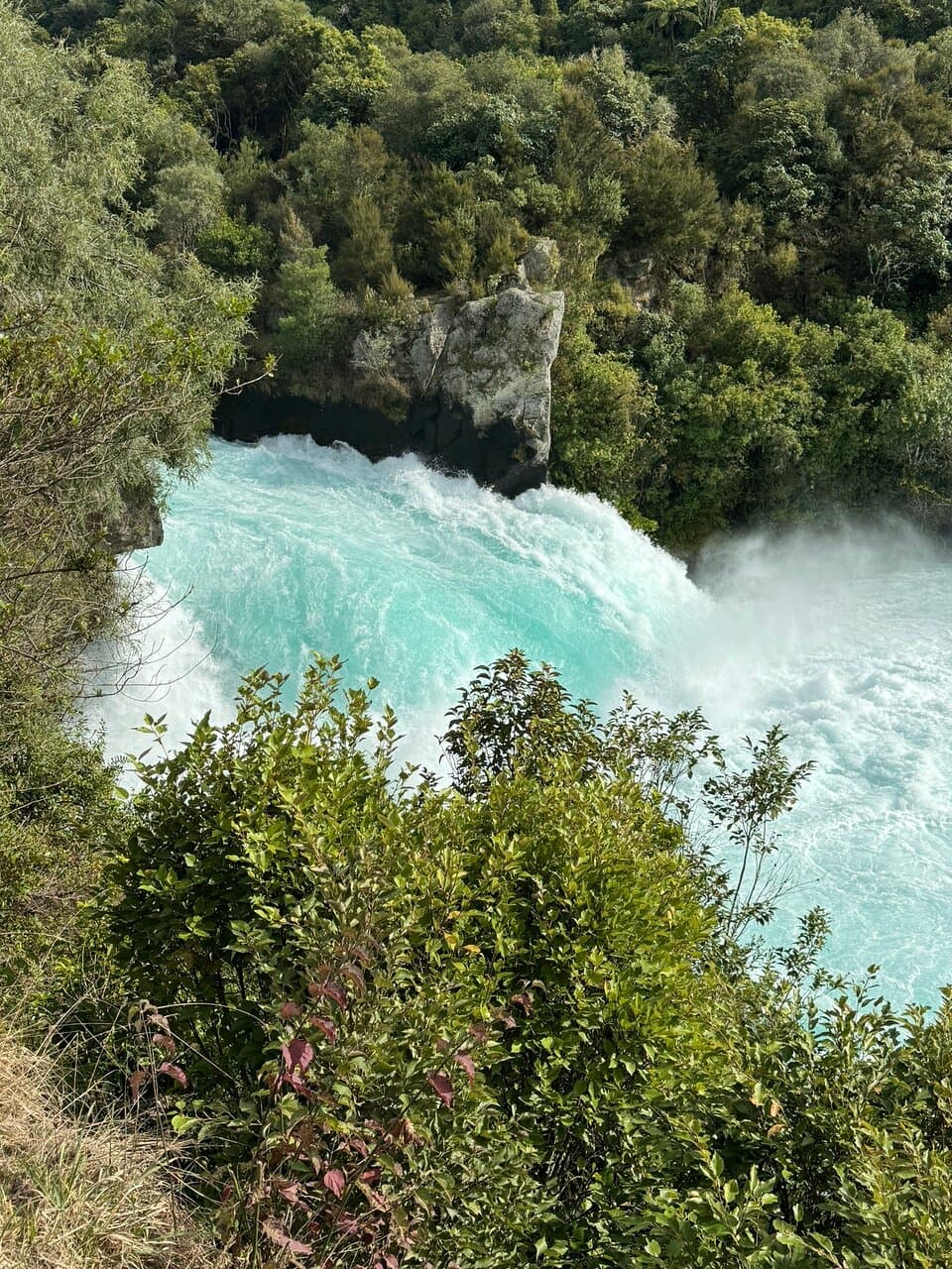 Spa Thermal Park and Otumuheke Stream