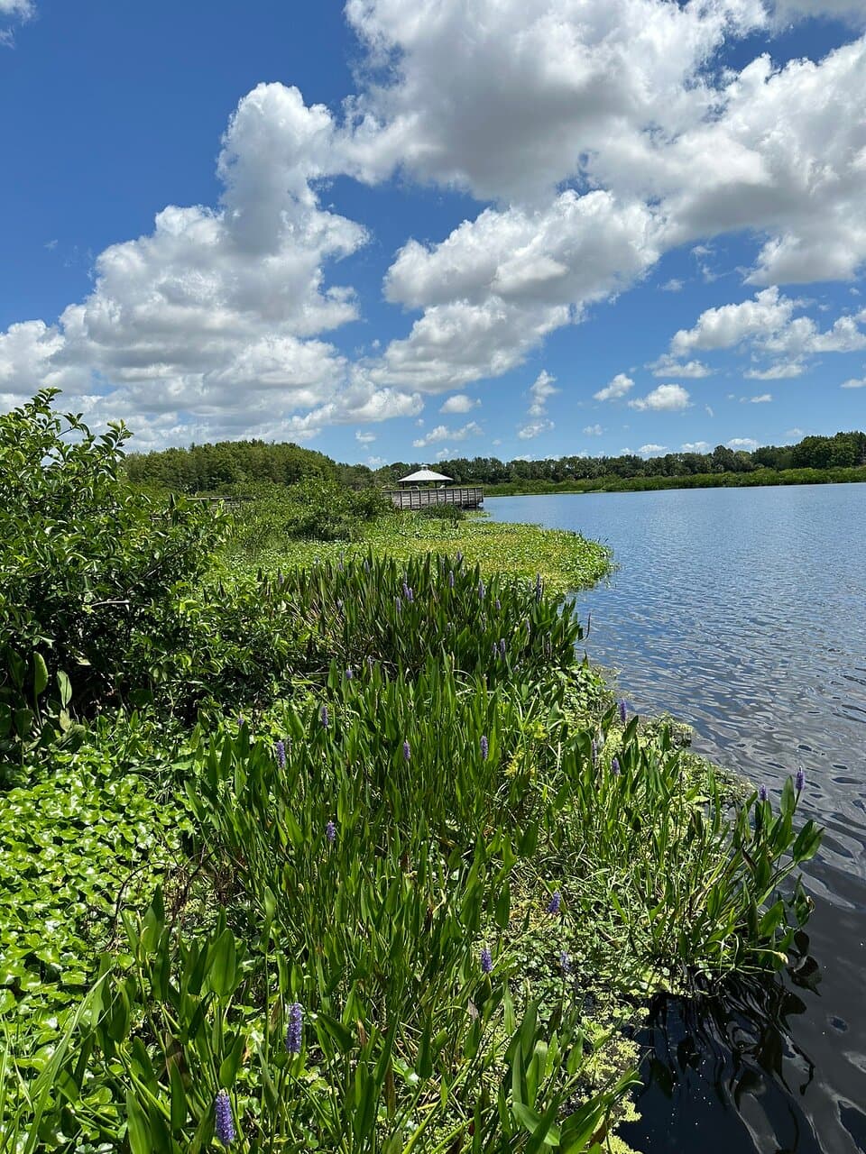 Green Cay Nature Center and Wetlands