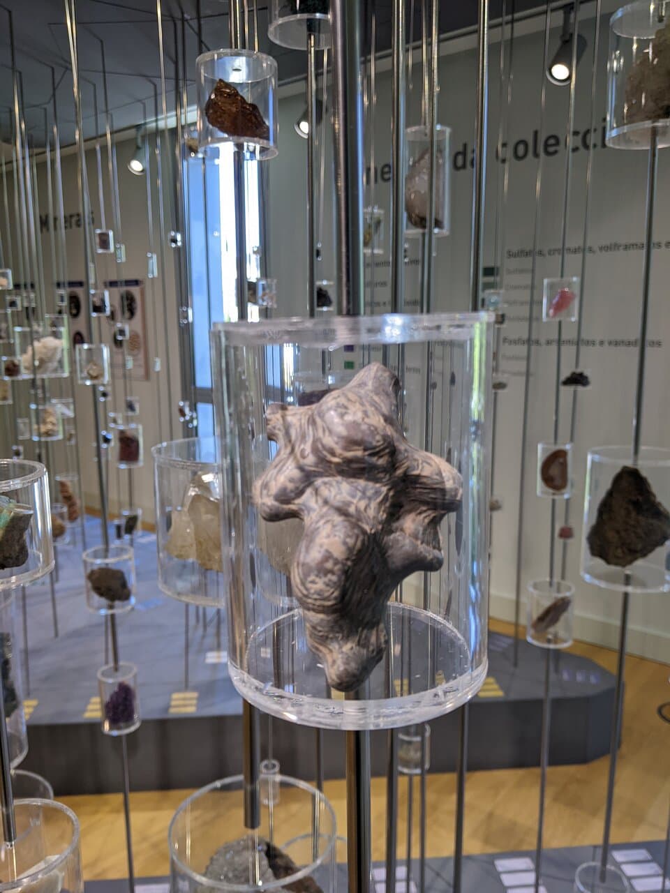 USC Natural History Museum