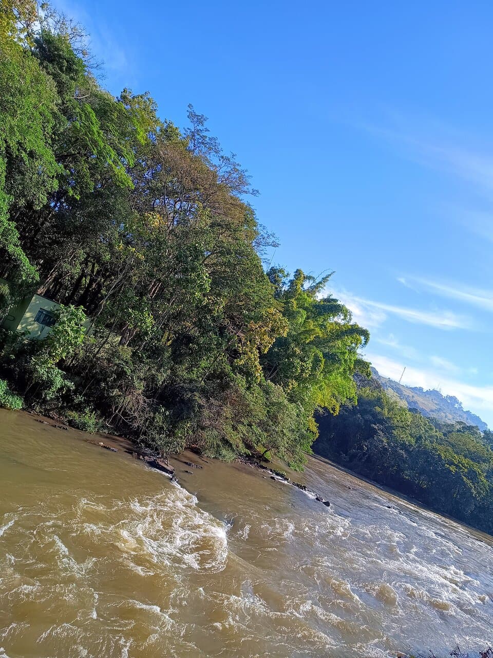 Zoo Municipal de São Bernardo