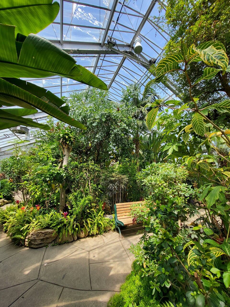 Centennial Park Conservatory - interior (20 May 2024)