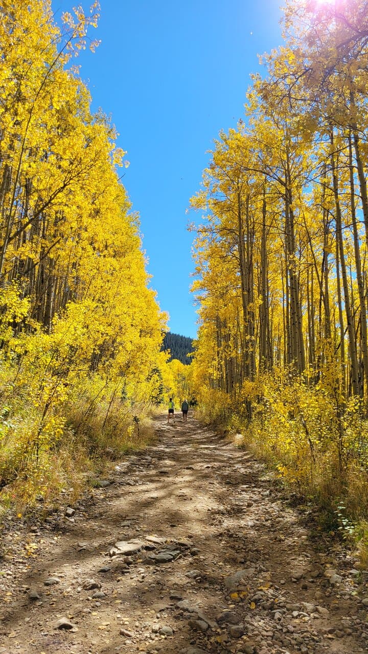 Aspen Vista Trail