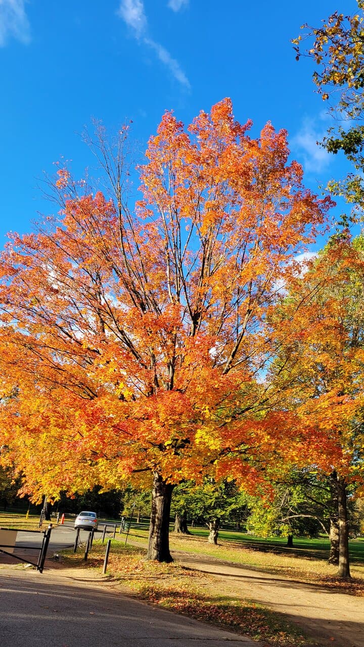 Cadwalader Park Trenton