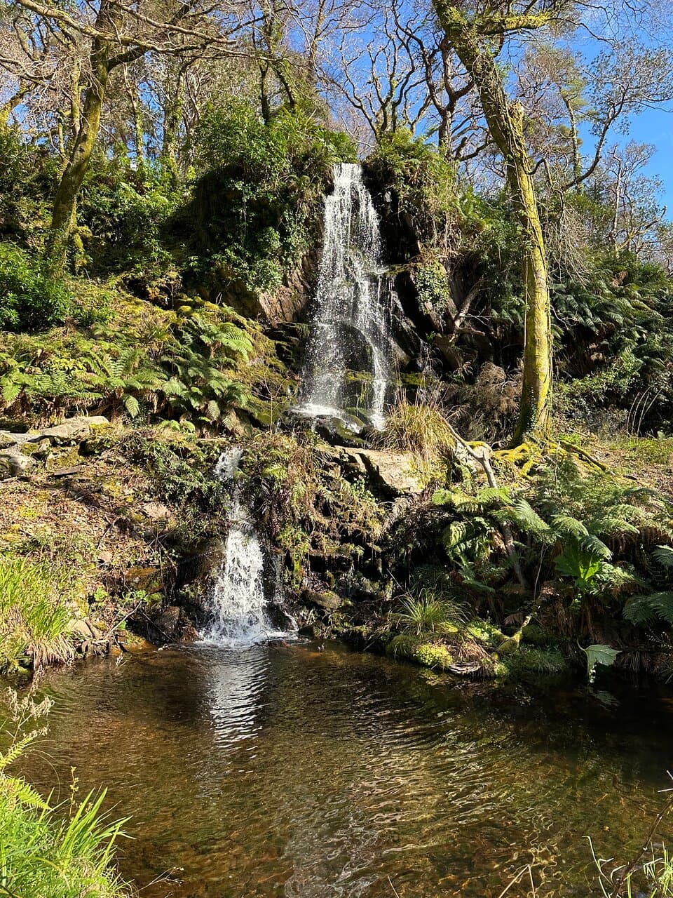 Kells Bay House and Gardens