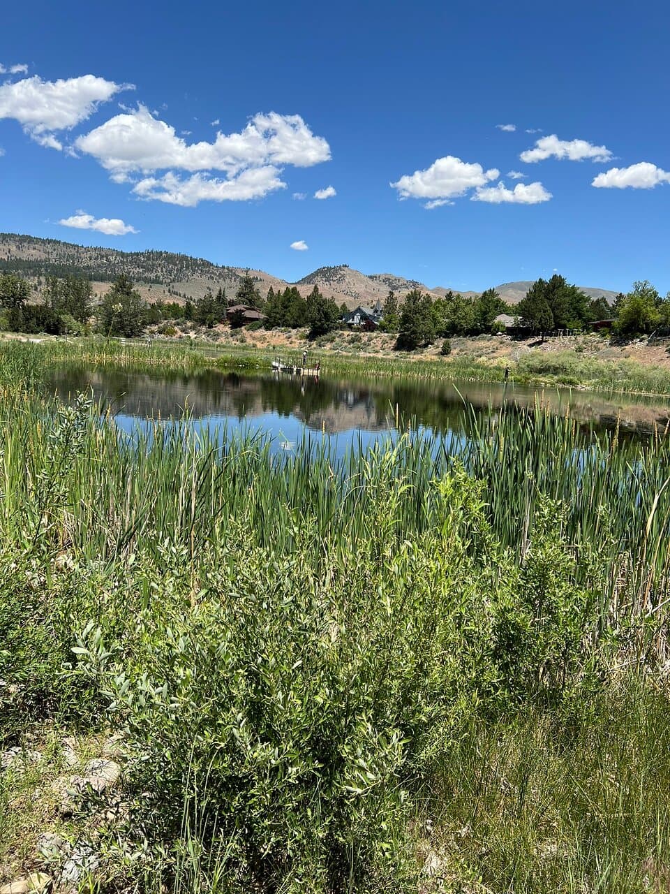 Crystal Peak Park Verdi