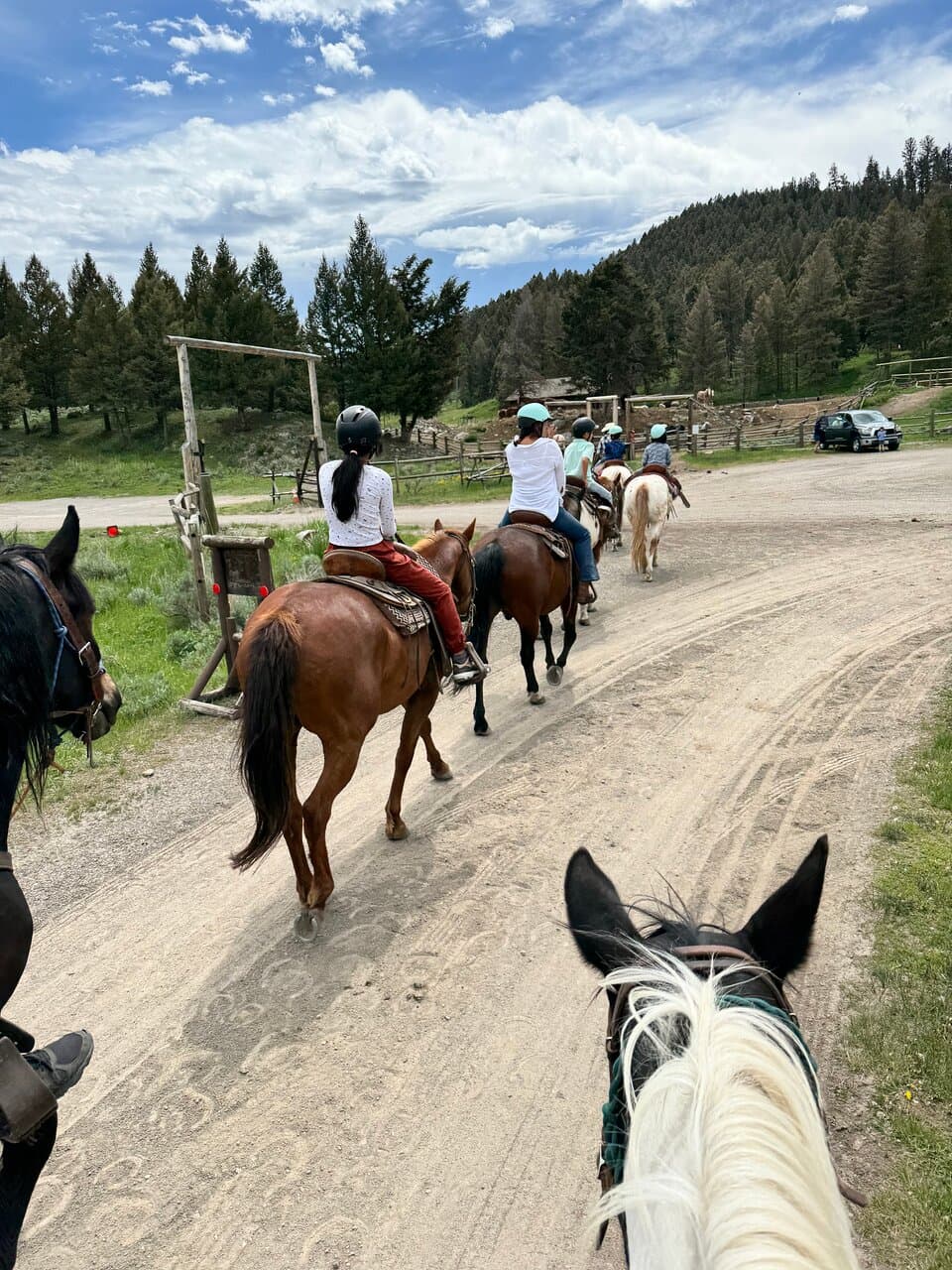 Roosevelt Corral Yellowstone National Park