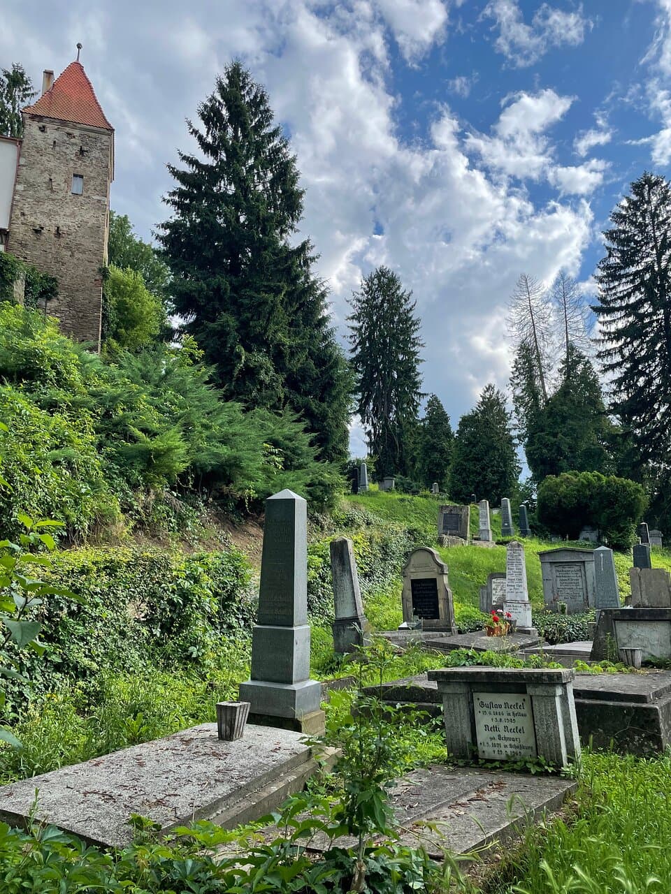 Saxon Cemetery (Cemetery on the Hill)
