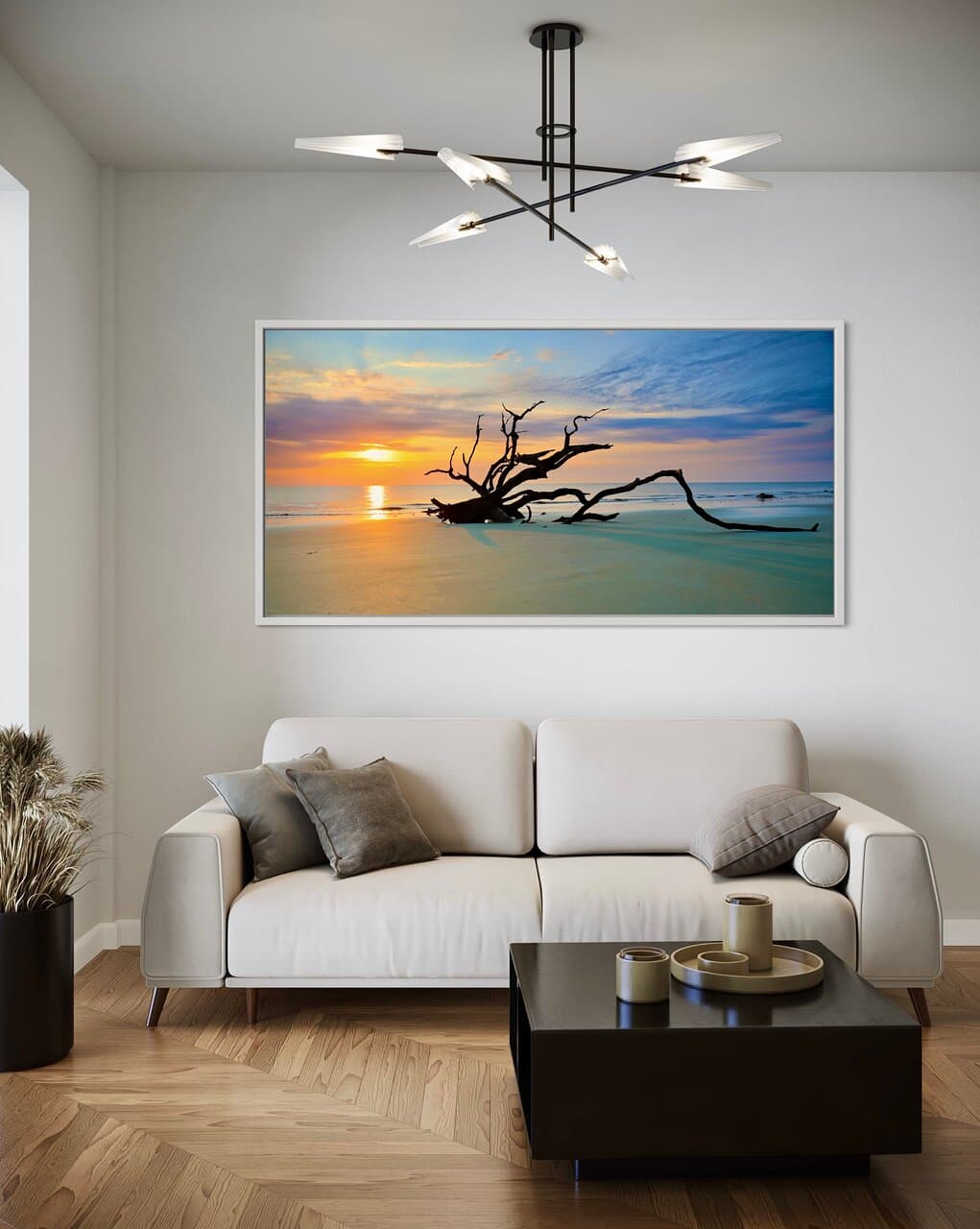 Driftwood Beach