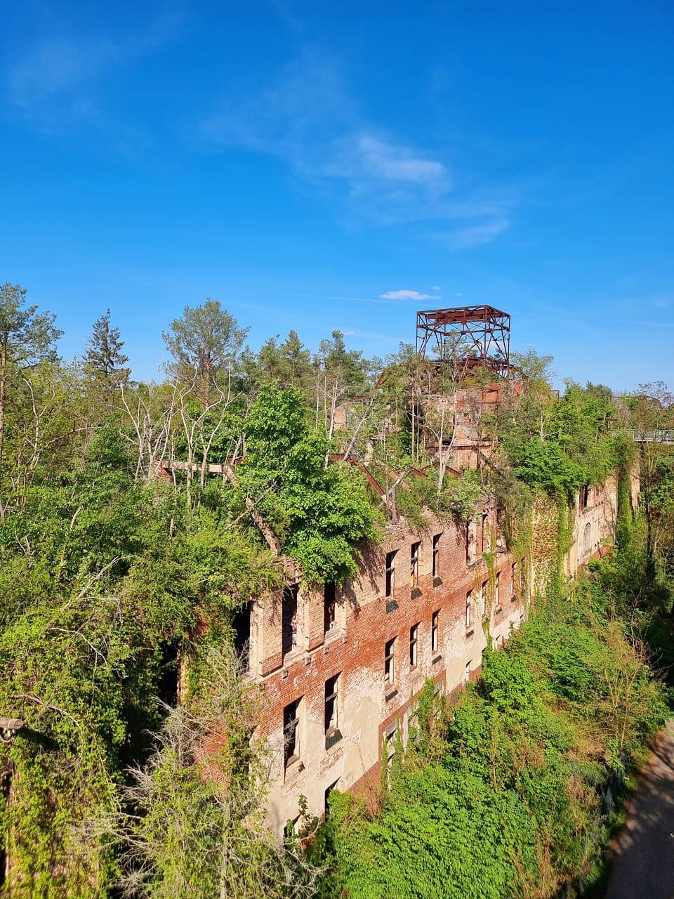 Baumkronenpfad Beelitz-Heilstätten