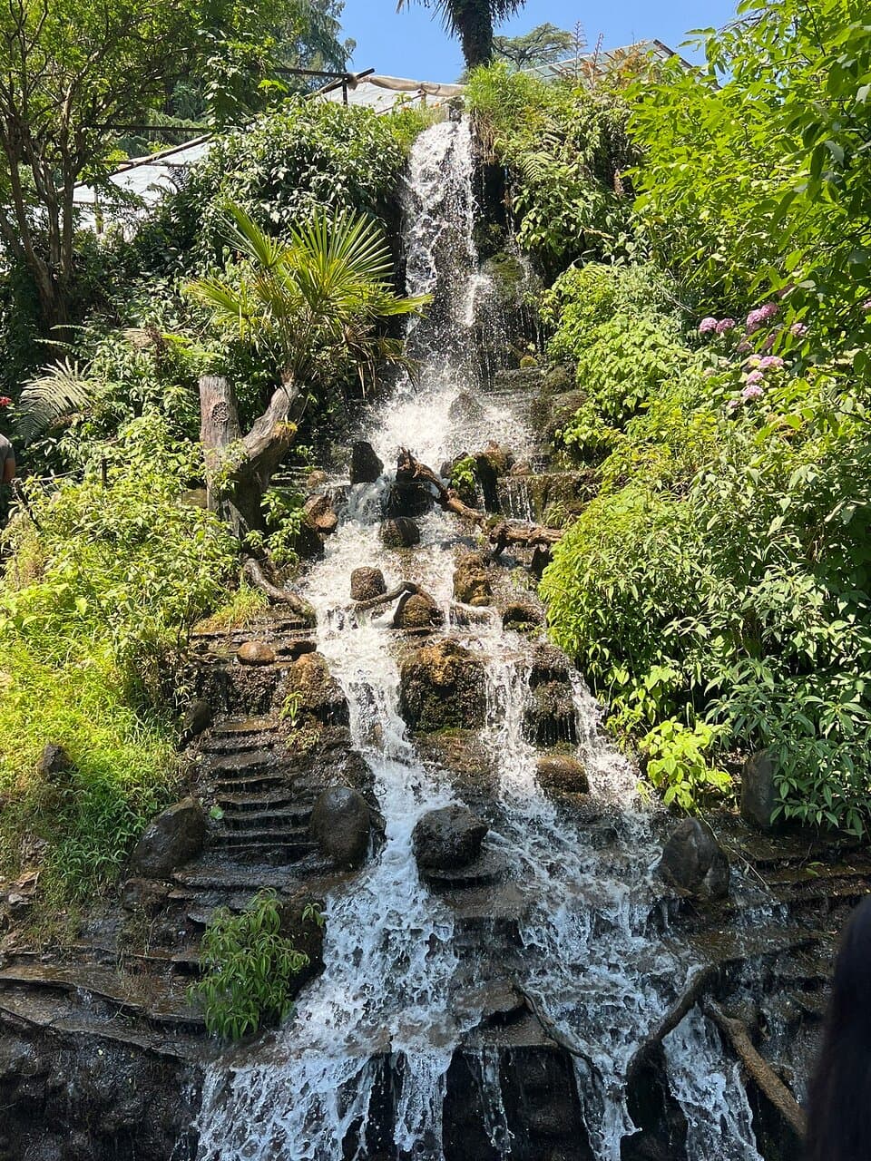Company Garden Mussoorie