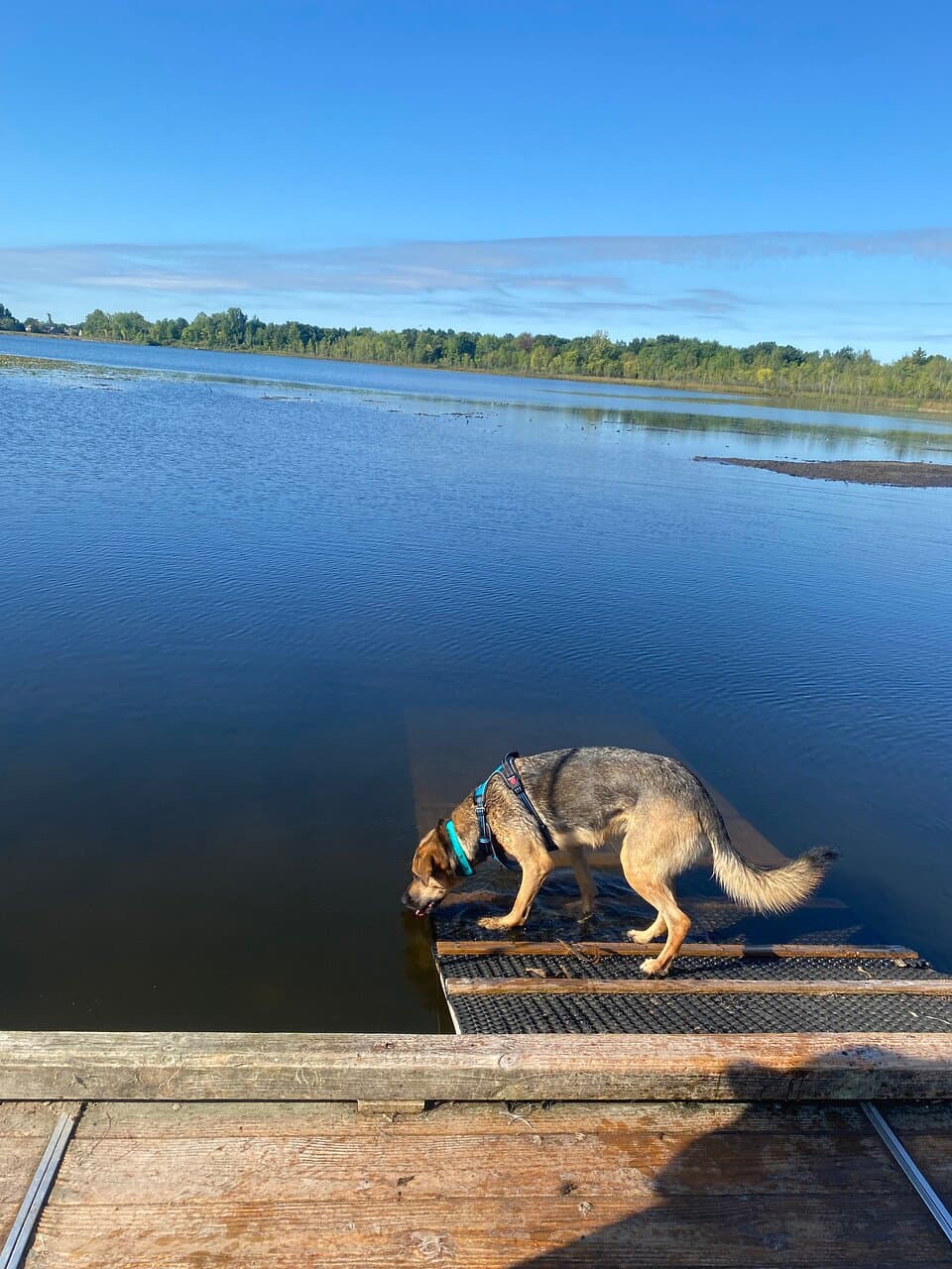 Orion Oaks County Park