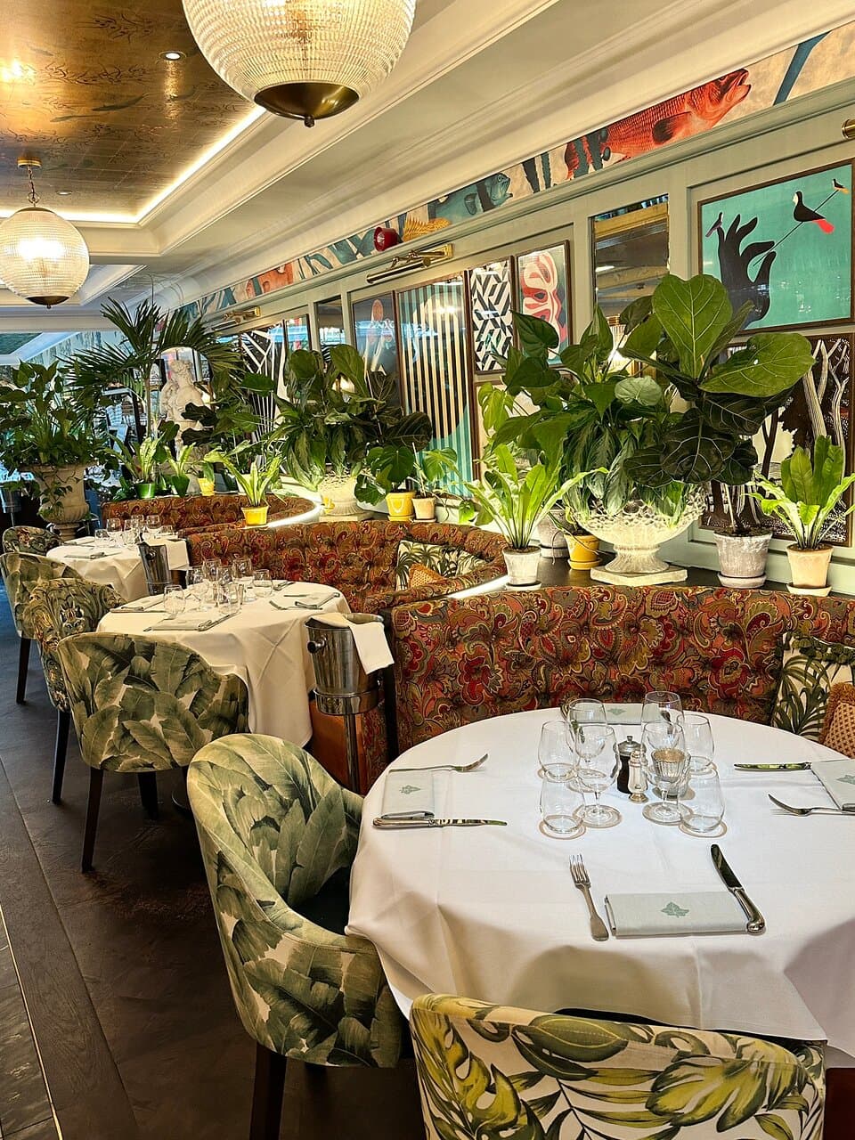 The Ivy Chichester