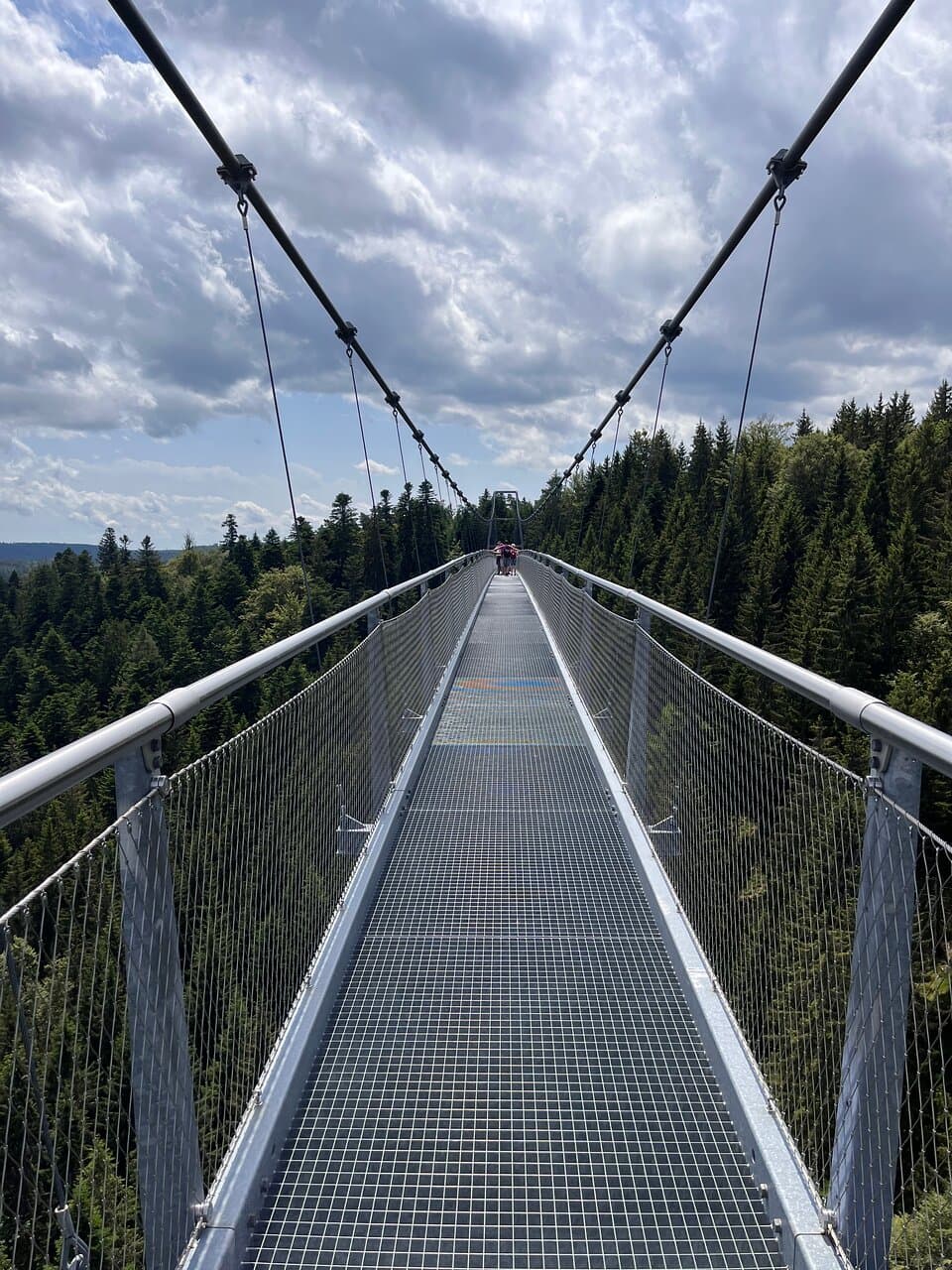 WildLine Bridge Bad Wildbad