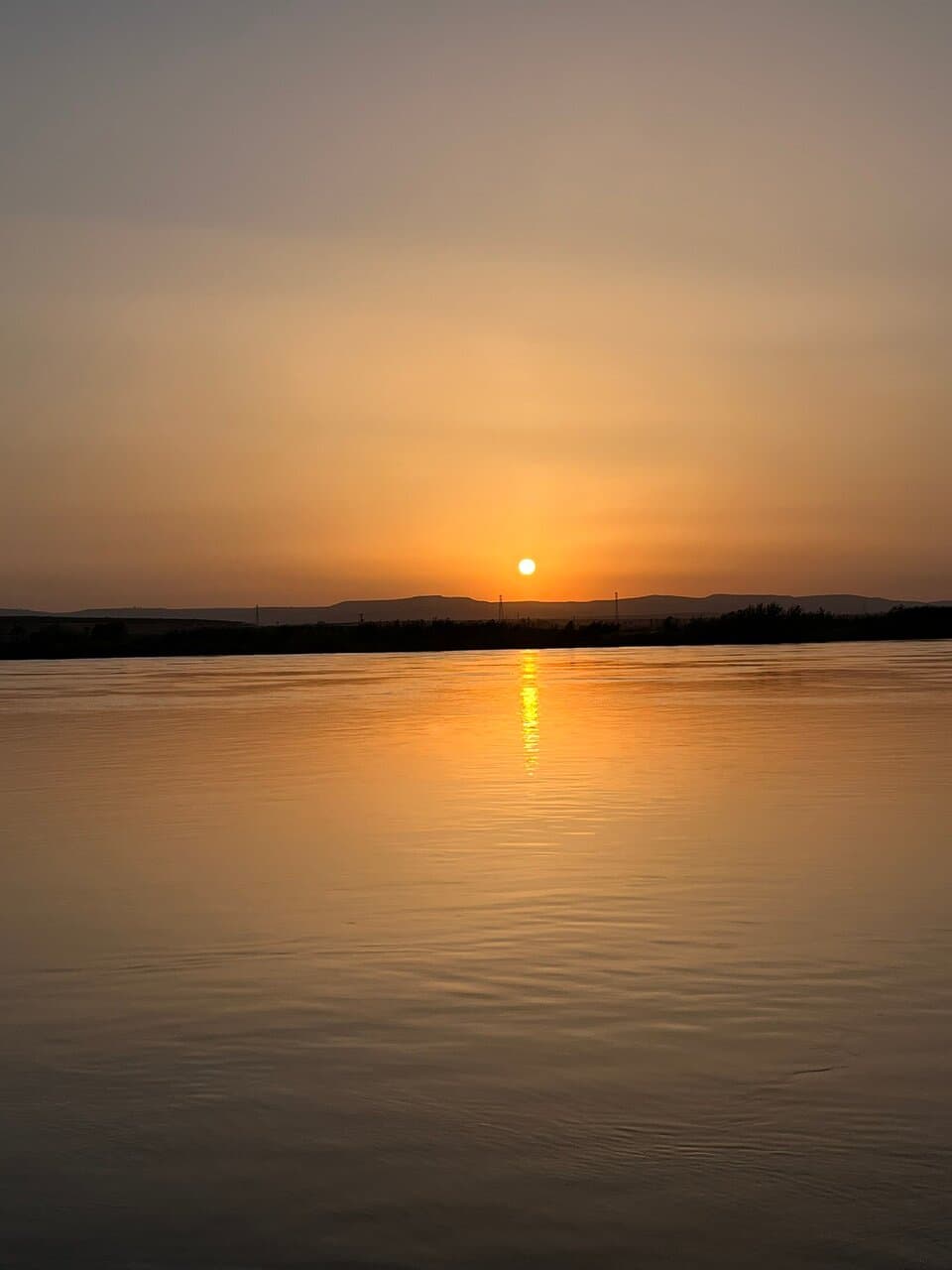 Birecik Bald Ibis Center