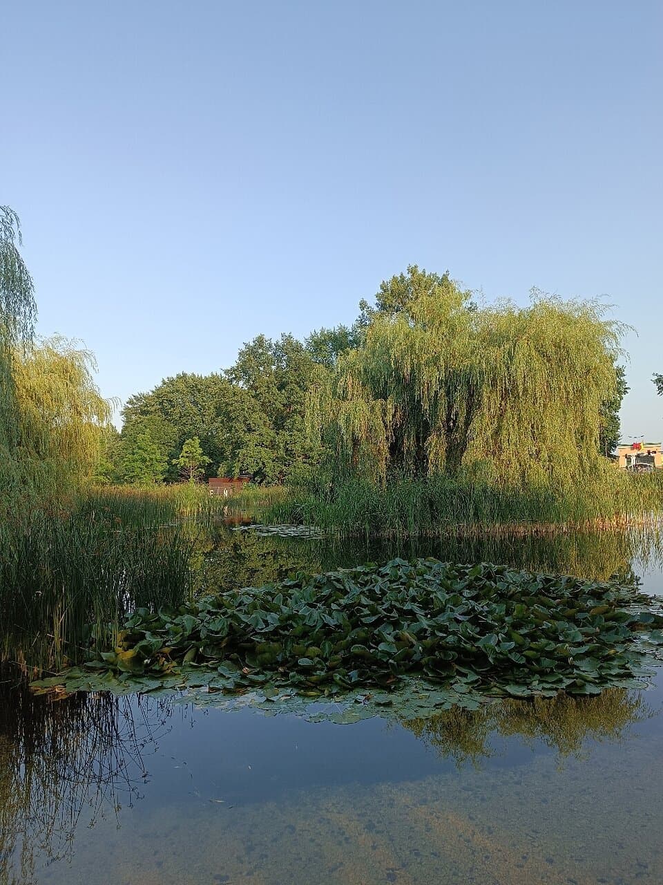 Park Lotników Polskich Kraków