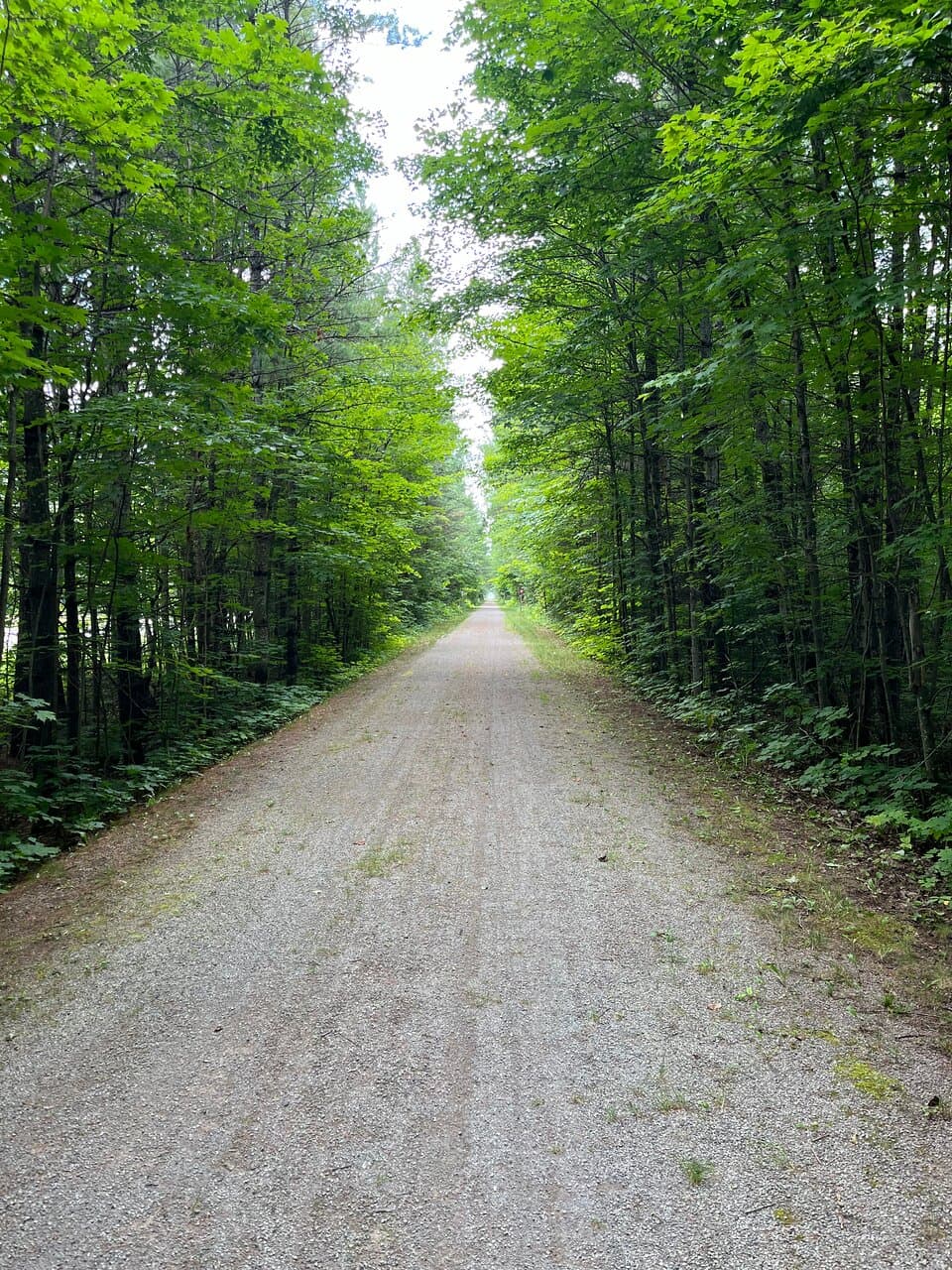 North Western State Trail