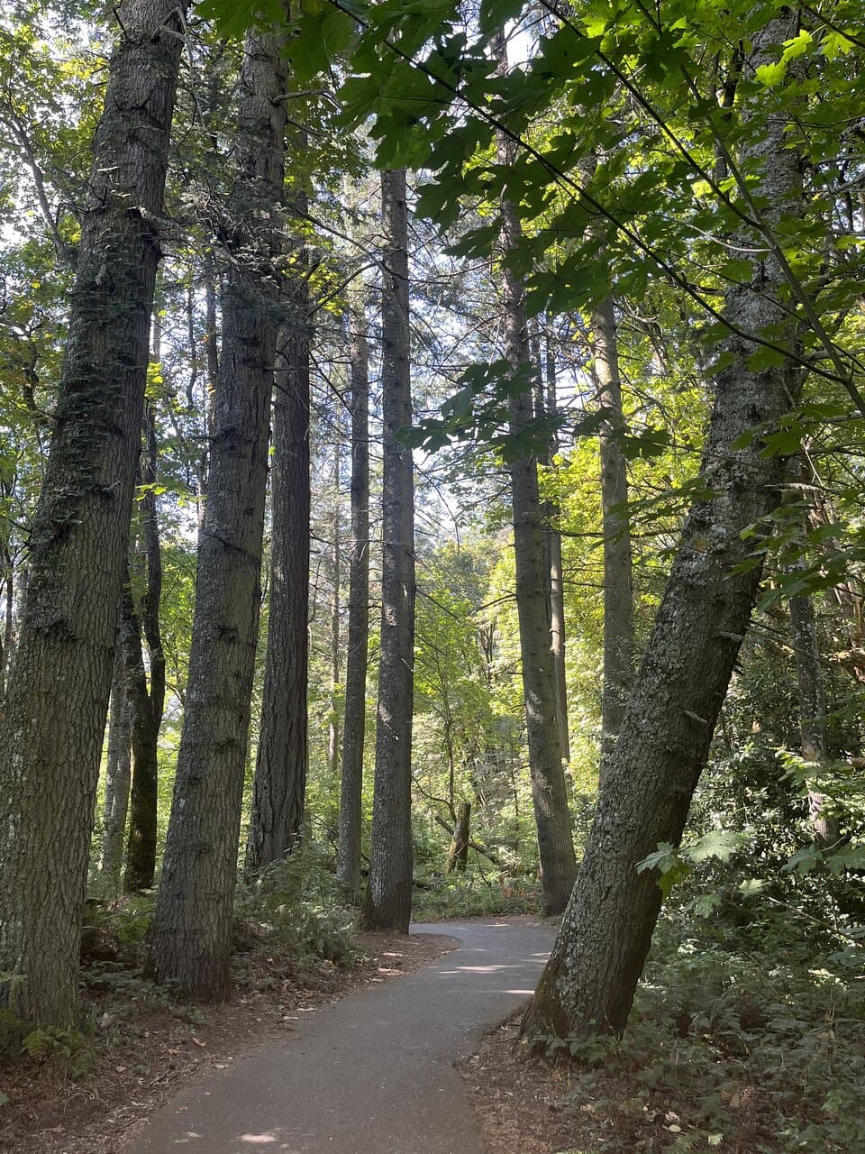 Keizer Rapids Park